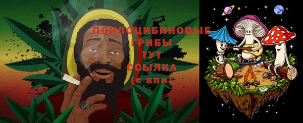 spice Аркадак