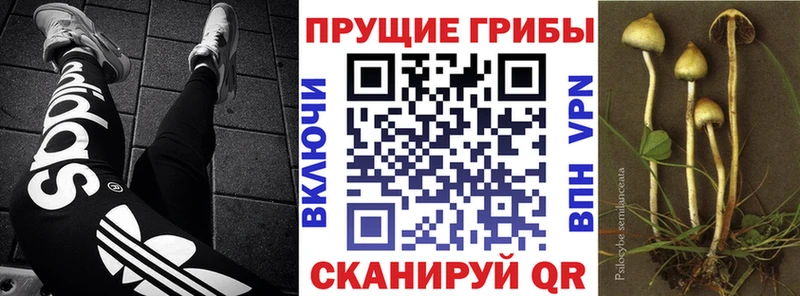 Псилоцибиновые грибы ЛСД  продажа наркотиков  Пыть-Ях 